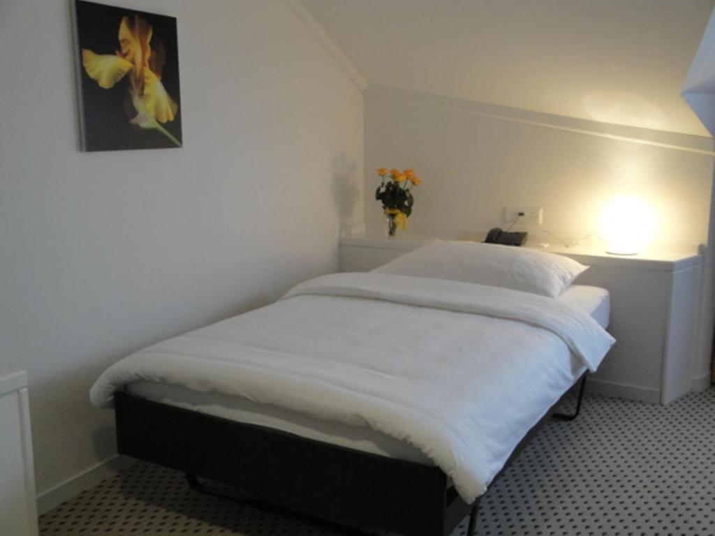 Hotel Schwanen