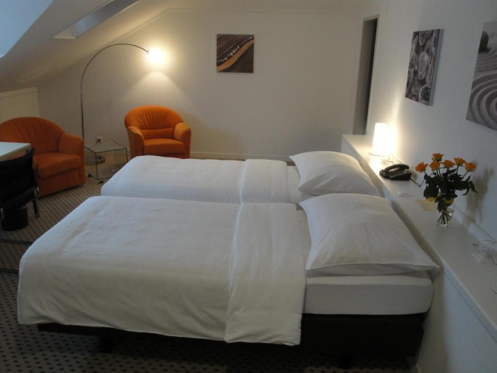 Hotel Schwanen 3*